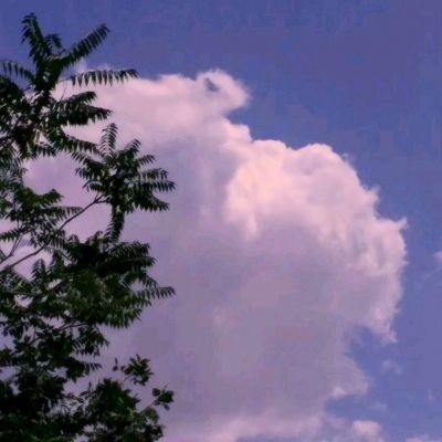 超级步兵虫虫助手版下载